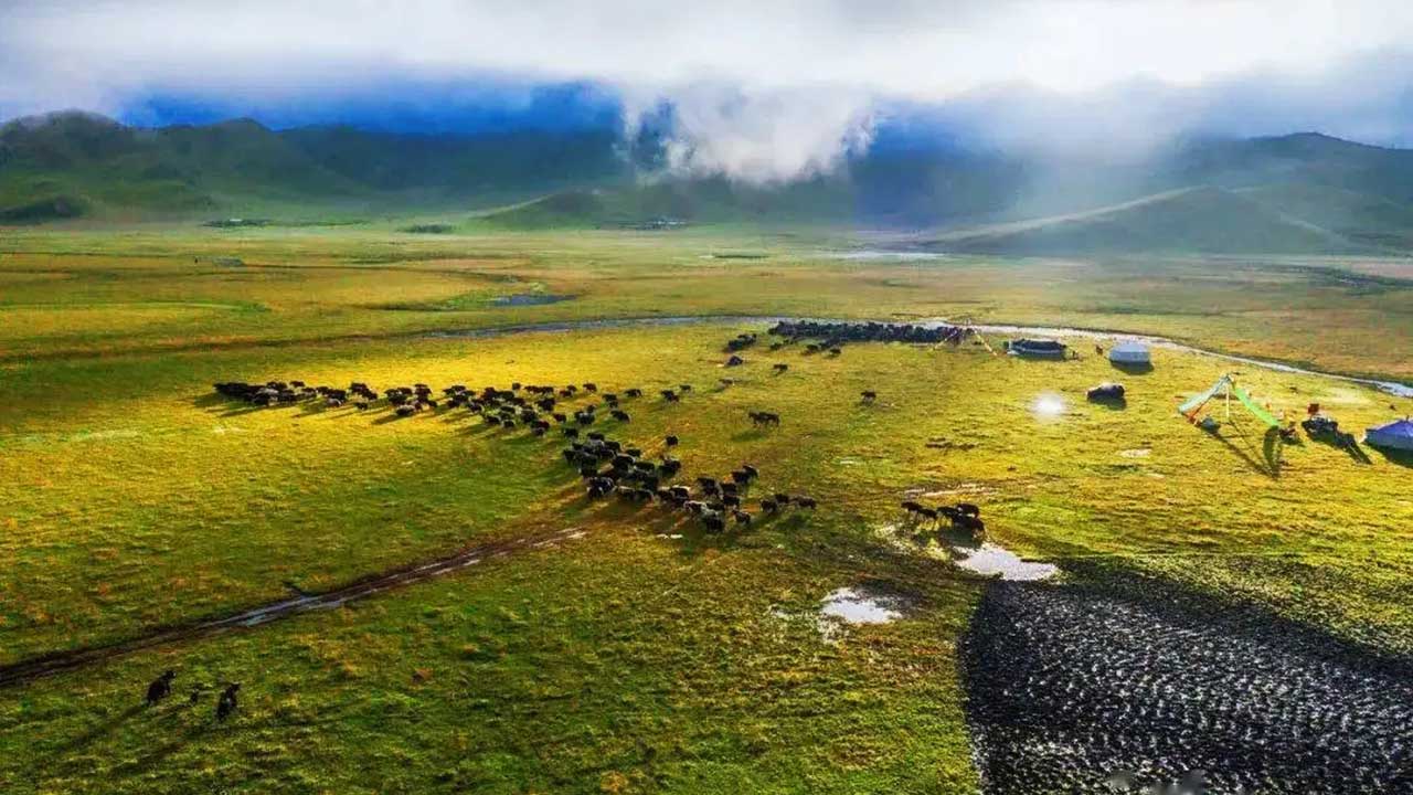 若爾蓋濕地 若爾蓋濕地.jpg